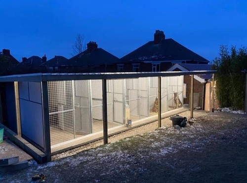 Dog kennels with - dog,
