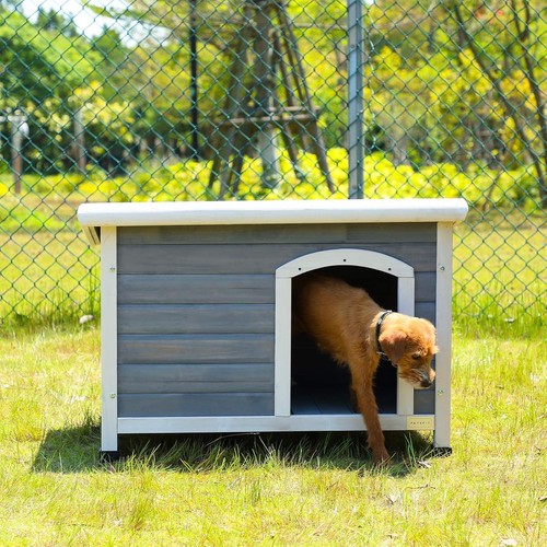 Insulated outdoor wooden dog - outdoor,