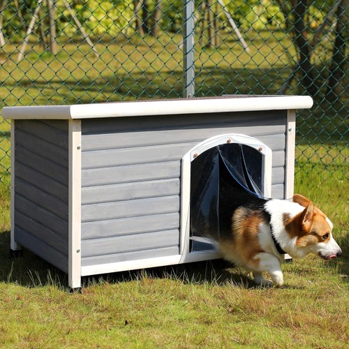 Outdoor wooden dog - dog, kennel