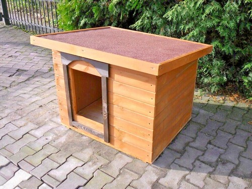Outdoor dog kennel house - outdoor,